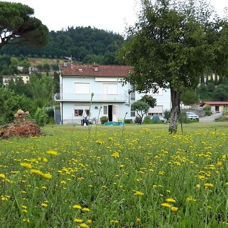 Affittacamere La Foresta Di Sopra Barga Exterior foto